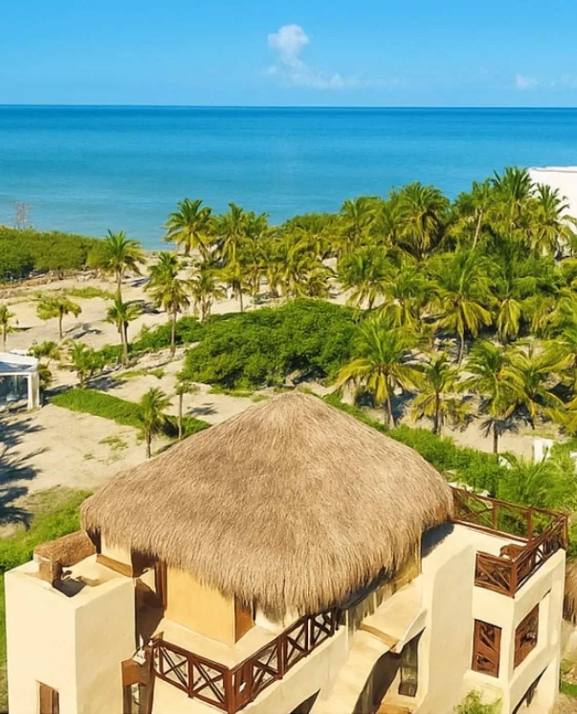 Aerial view of Atenea Holbox rooftop palapa with palms and the Holbox coastline behind