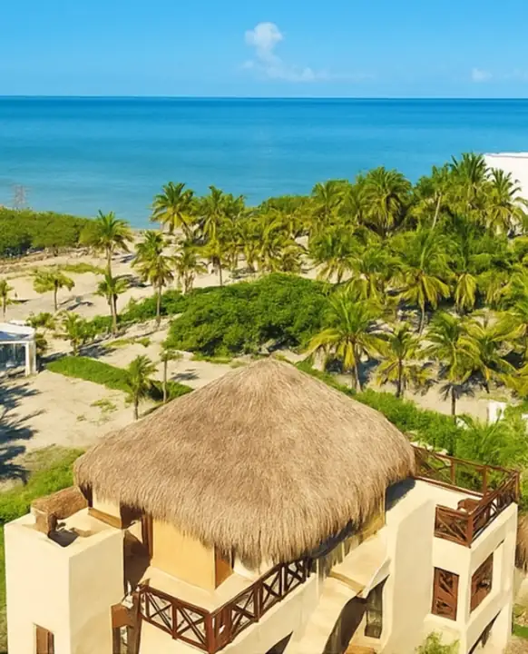 Aerial view of Atenea Holbox rooftop palapa with palms and the Holbox coastline behind
