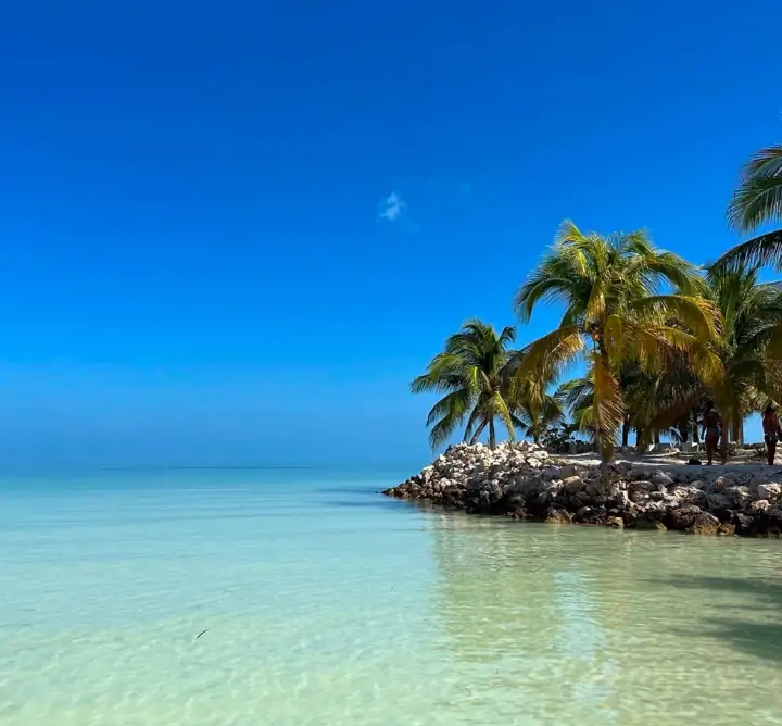 Turquoise shallow water and palms on a Holbox beach
