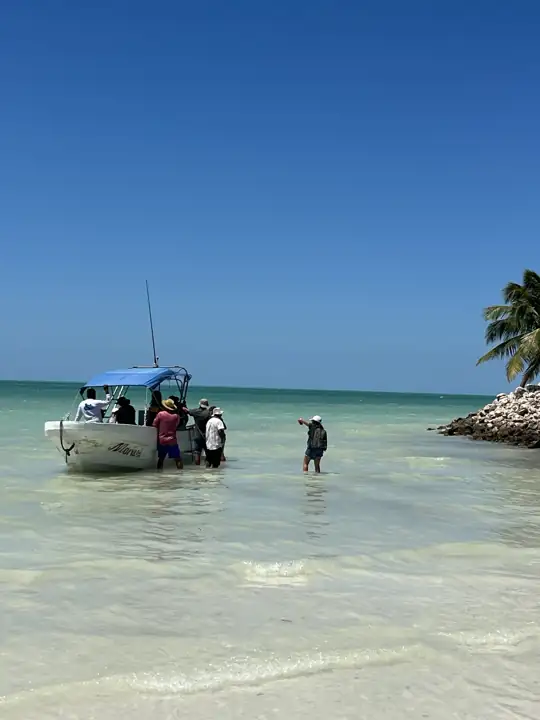 Private boat tour in the shallow waters around Isla Holbox