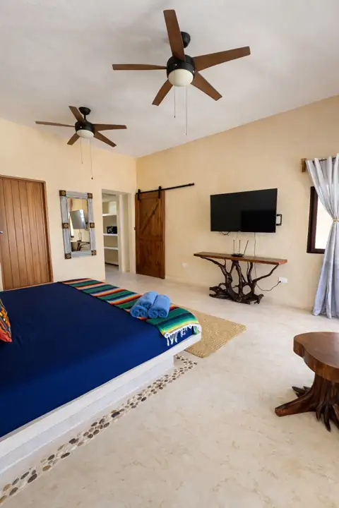 Luma Garden room with king bed, ceiling fan and sliding barn door