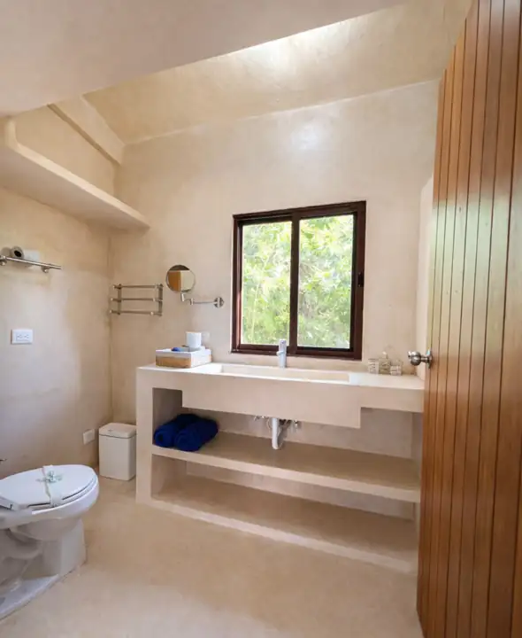 Ensuite bathroom with natural light and wooden door
